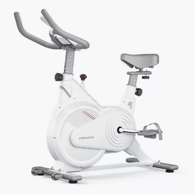 Leg Home Gym Workout - Indoor Stationary Spin Bike, Silent Magnetic