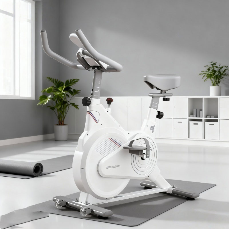 Indoor Stationary Spin Bike, S - đánh giá và giá Leg Home Gym Workout